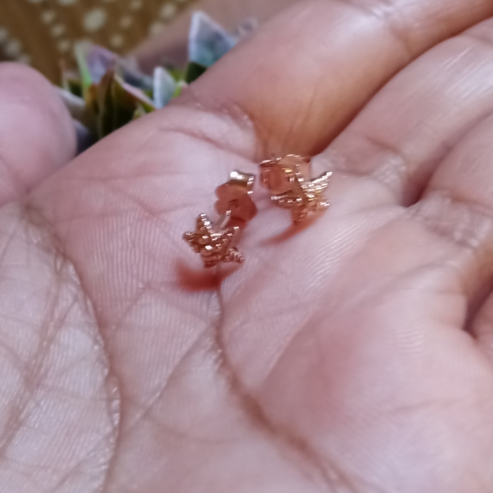 Earings